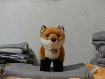 Unnamed 10 (Red Fox, Miyoni)